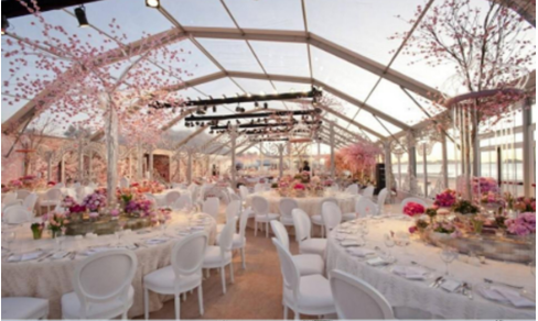 Романтический дорогой свадебный шатер на открытом воздухе