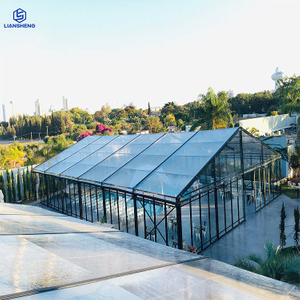 Роскошная вечеринка, свадьба, прозрачный ПВХ, черная рама, большая палатка, изогнутый цвет «елочка», дополнительный алюминиевый стальной каркас, шатер для мероприятий